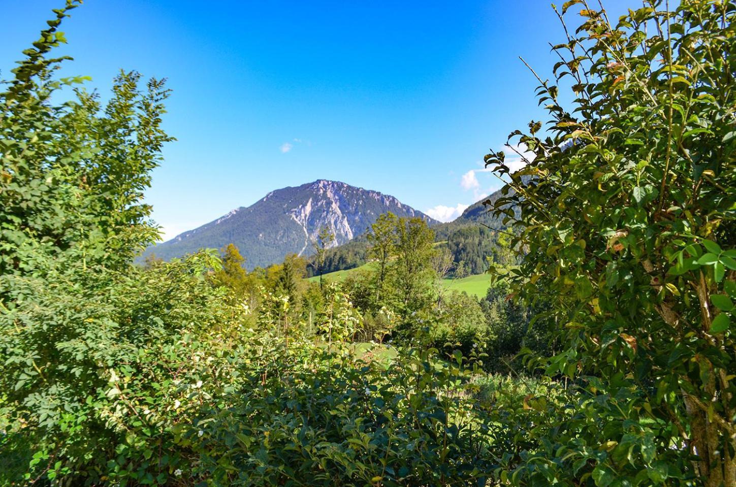 Almbauernhof Appartement Ruhpolding Buitenkant foto