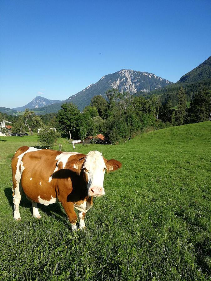 Almbauernhof Appartement Ruhpolding Buitenkant foto